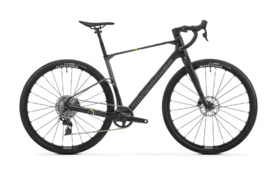 Mondraker arid carbon r